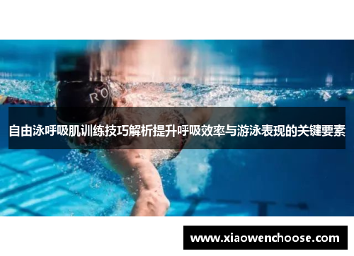 自由泳呼吸肌训练技巧解析提升呼吸效率与游泳表现的关键要素