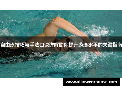 自由泳技巧与手法口诀详解助你提升游泳水平的关键指南